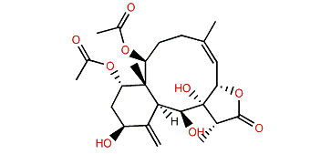 Briaviolide H